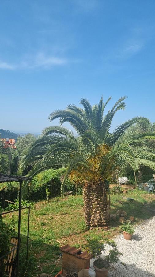 La Merla Del Tasso Camaiore Zewnętrze zdjęcie